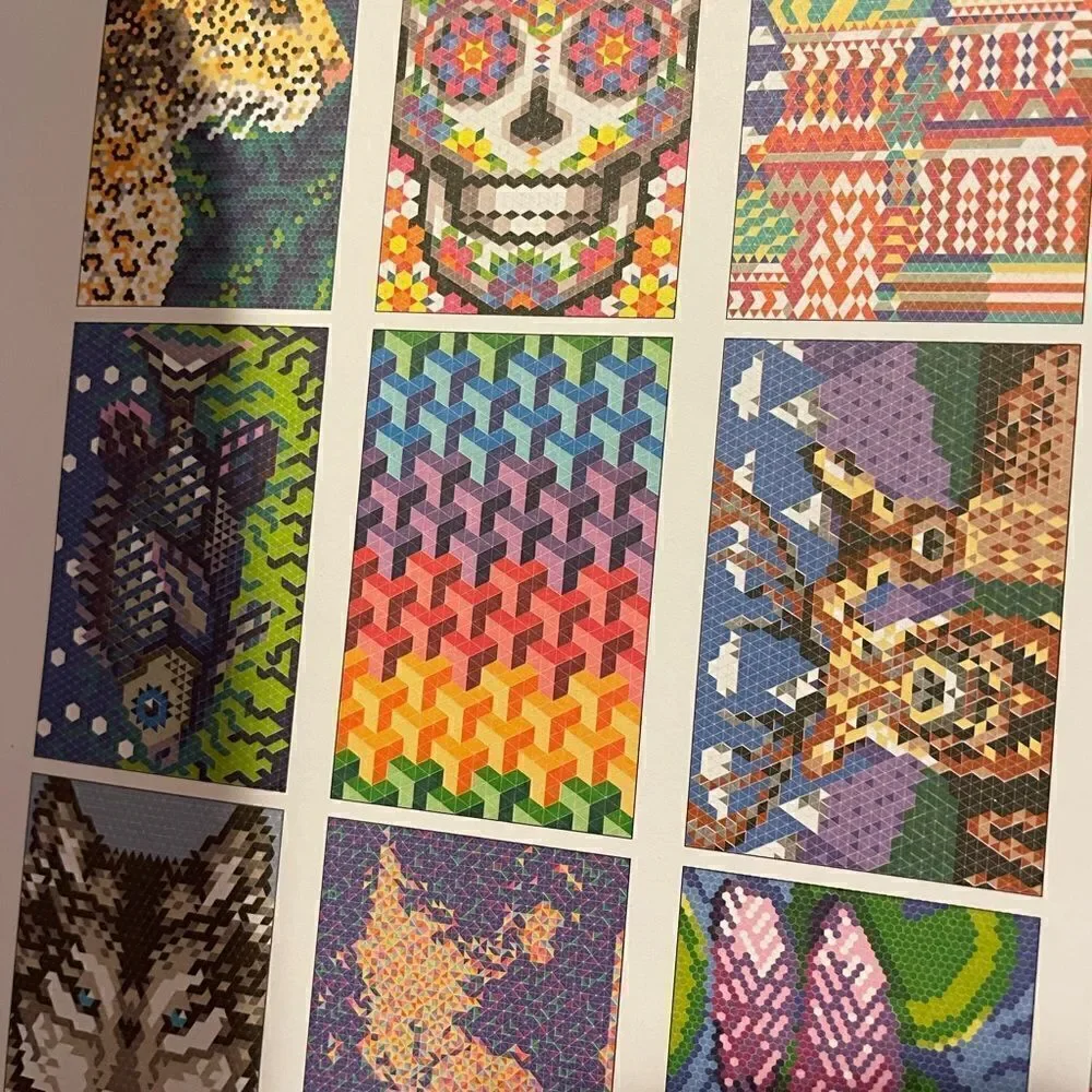 Color Quest Johanna Webster Color By Numbers 11x14 Coloring Book